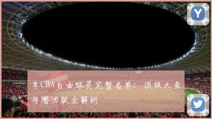 年CBA自由球员完整名单:顶级大鱼与潜力股全解析